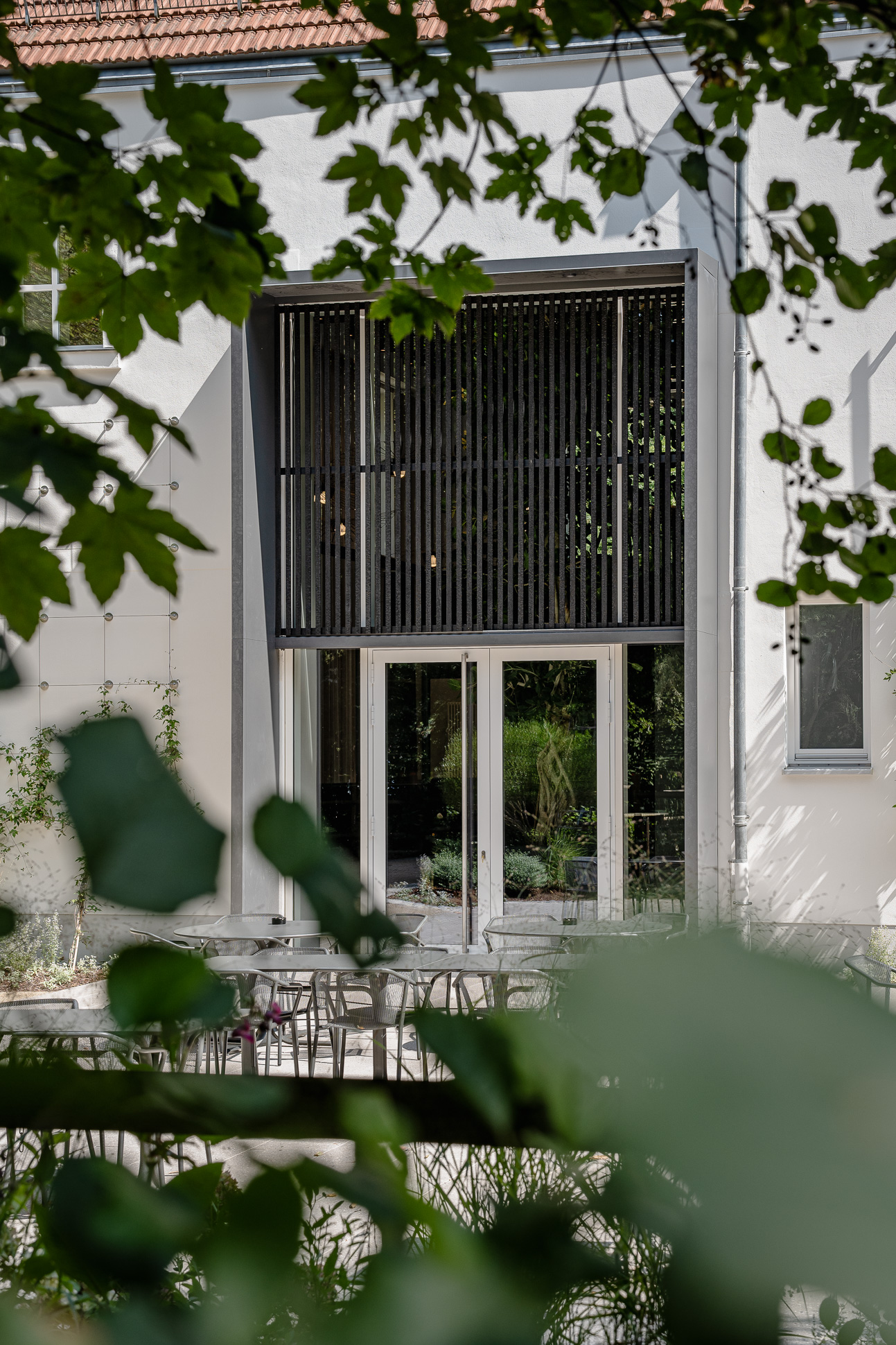 RARO DIA FS LowRes 06