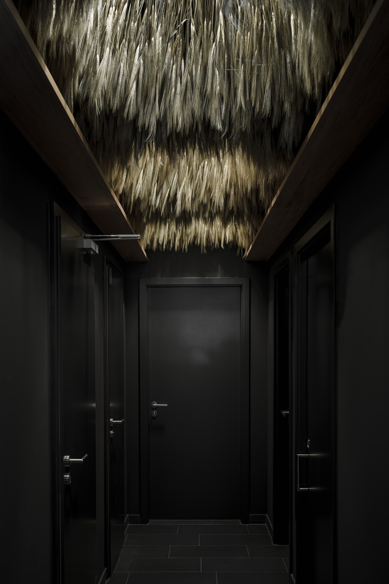 RARO DIA FS LowRes 08