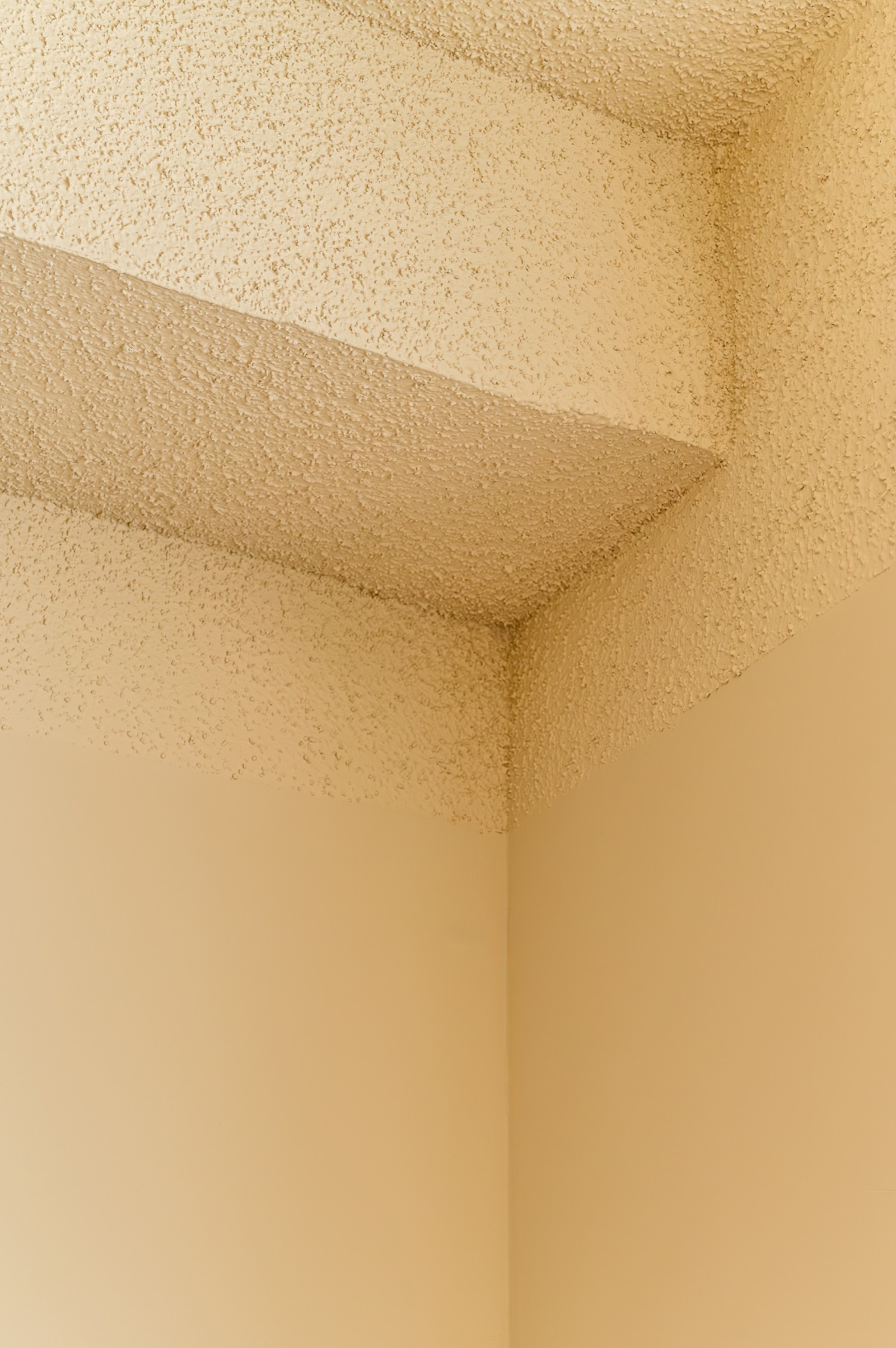 LowRes 2026 02 12 Ninone Store OF 0179